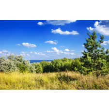  Natura48 öntapadó és mosható fali tapéta, 200 x 150 cm tapéta, díszléc és más dekoráció