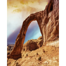  Natura74 öntapadó és mosható fali tapéta, 150 x 205 cm tapéta, díszléc és más dekoráció