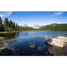  Natura81 öntapadós tapéta, 250 x 150 cm tapéta, díszléc és más dekoráció