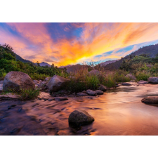  Natura88 tapéta, 350 x 200 cm tapéta, díszléc és más dekoráció