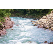  Natura89 öntapadó és mosható fali tapéta, 300 x 200 cm tapéta, díszléc és más dekoráció