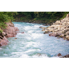  Natura89 öntapadós és mosható fali tapéta, 250 x 150 cm tapéta, díszléc és más dekoráció