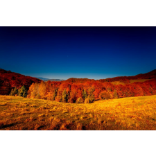  Natura92 öntapadó és mosható fali tapéta, 200 x 150 cm tapéta, díszléc és más dekoráció