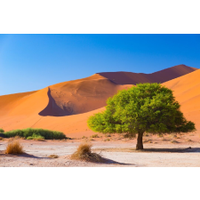  Natura93 öntapadó és mosható fali tapéta, 300 x 200 cm tapéta, díszléc és más dekoráció