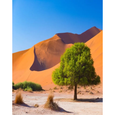  Natura93 öntapadós és mosható fali tapéta, 150 x 205 cm tapéta, díszléc és más dekoráció