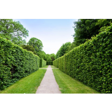  Natura94 öntapadó és mosható fali tapéta, 200 x 150 cm tapéta, díszléc és más dekoráció