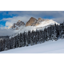  Natura95 öntapadós és mosható fali tapéta, 250 x 200 cm tapéta, díszléc és más dekoráció
