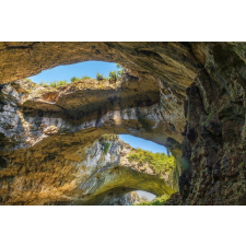  Natura97 tapéta, 300 x 250 cm tapéta, díszléc és más dekoráció