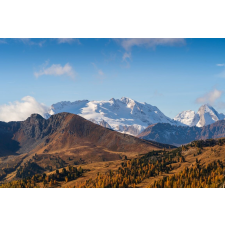  Natura99 tapéta, 300 x 250 cm tapéta, díszléc és más dekoráció