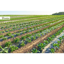 NATURE Takarófólia lyukak nélkül 1,2m x 50m, 15 mic. fekete ragasztószalag és takarófólia