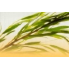 Naturhelix teafa fülgyertya egyéb egészségügyi termék