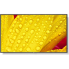 NEC M501-2 50IN UHD 500CD/QM LED 24/7 SDM CM (60006084)