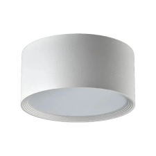 Nedes LED Lámpatest falra szerelhető 17W 1500lm 4000K Fehér IP20 - LPL524 világítás