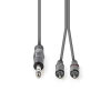 Nedis JACK - RCA Sztereó audiokábel 3.0m (6.35mm jack apa - 2xRCA apa) Szürke (COTH23300GY30)