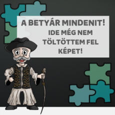  Nem vagyok néni! - Kapucnis Pulóver