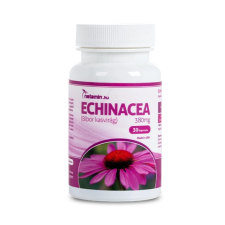 Netamin Echinacea 380mg kapszula 30 db gyógyhatású készítmény