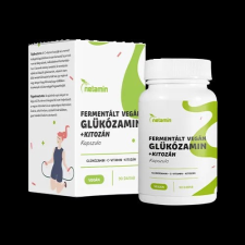 Netamin Fermentált Vegán Glükozamin + Kitozán kapszula 90x vitamin és táplálékkiegészítő