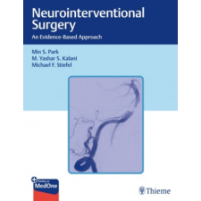  Neurointerventional Surgery – M. Yashar S. Kalani,Michael Stiefel idegen nyelvű könyv