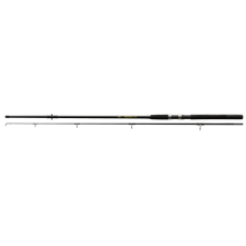 Nevis Windstorm 300 50-100g horgászbot