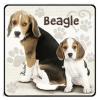 Nevlini Kutyás hűtőmágnes, Beagle