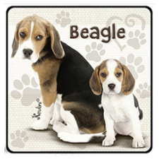 Nevlini Kutyás hűtőmágnes, Beagle ajándéktárgy