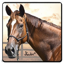 Nevlini Lovas hűtőmágnes, barna lófej ajándéktárgy