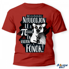 Nevlini vicces póló több színben, mindenki nyugodjon le...én vagyok a főnök ajándéktárgy