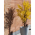 Newgarden NG Violeta 30 kék kaspó (JDNVL030AZNW)