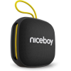 Niceboy RAZE Mini 4
