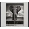  Nick Brandt – Vicki Goldberg,Peter Singer