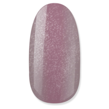 NiiZA Gel Polish 4ml - 160 Platinum lakk zselé