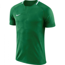 Nike Dry Challenge 2 férfi póló, zöld, M férfi póló