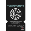 Nikolényi Gergely - Tükörútvesztő