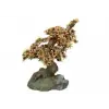 Nobby 28023 Akváriumi dísz "BONSAI"