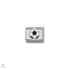 Nomination "Focilabda" charm - 330202-13