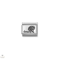 Nomination "Januári születésnapi viráglap" charm - 330112-13 egyéb ékszer