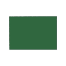 Noname Dekorációs karton 50x70 cm 230g kétoldalas fenyőzöld kreatív papír