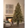 Nonbrand Pino Argentato de Lux műfa távirányítóval és 3000 mini leddel, PE, 180 cm, zöld