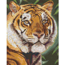 Nonbrand Pixel szett 9 normál alaplappal, színekkel, tigris (809377) kreatív és készségfejlesztő