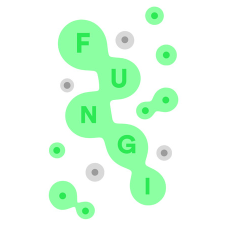 Nonline Studios FUNGI (PC - Steam elektronikus játék licensz) videójáték