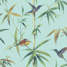 Noordwand türkiz kolibri és bambusz tapéta tapéta, díszléc és más dekoráció