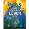 NordSüd Verlag AG Ein Berg, ein Sturz, ein langes Leben | Dayeon Auh