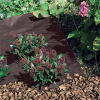 Nortene Talajtakaró fólia, Antiherbas Geotex polipropilén geotextília 80 g/m2 (1.6x5 méter) barna