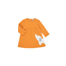 Noukie's Rövid ruhák Z050083 Narancssárga 1 hónapos