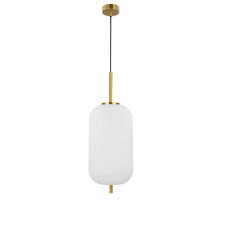 Nova Luce Lato függeszték NL-9624062 világítás