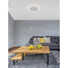Nova Luce Willow LED NL-9212913 mennyezeti lámpa világítás