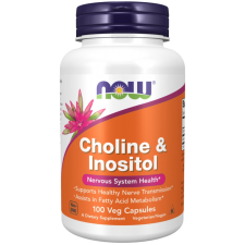 Now Foods Choline & Inositol 500 mg 100 Veg kapszula( kolin) vitamin és táplálékkiegészítő