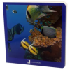 NOWORDBOOKS SCP Los Animales Marinos | DAVID MARTIN