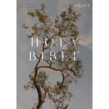  NRSV CATHOLIC EDITION BIBLE EUCALYPTUS – CATHOLIC BIBLE idegen nyelvű könyv