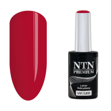NTN Premium New - 168 műköröm zselé